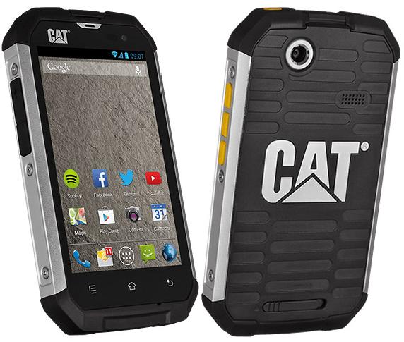 Cat B15 photo
