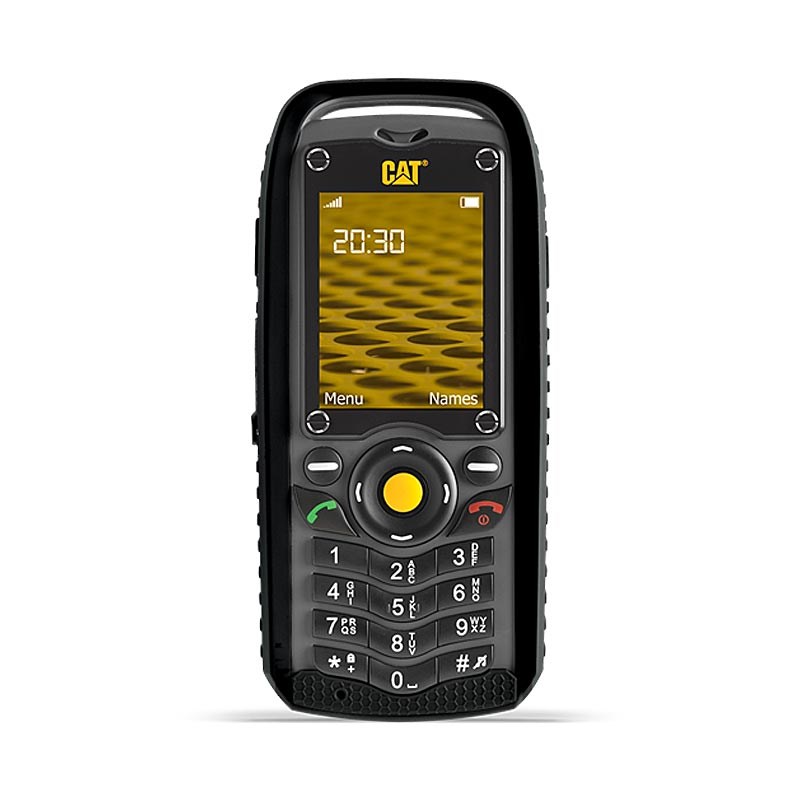 Cat B25 photo