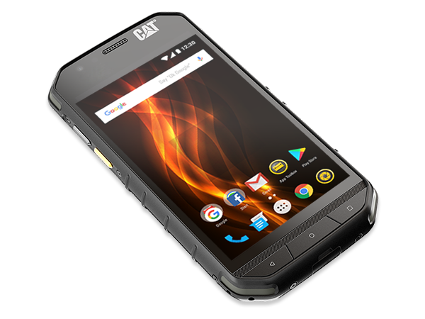 Cat S31 photo